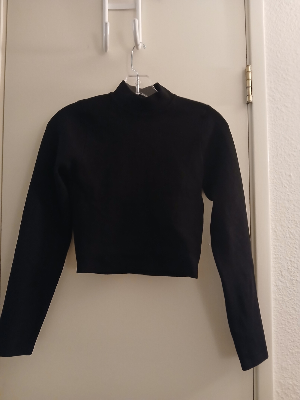 DISSH Black Mock Neck Cropped Long Sleeve Top